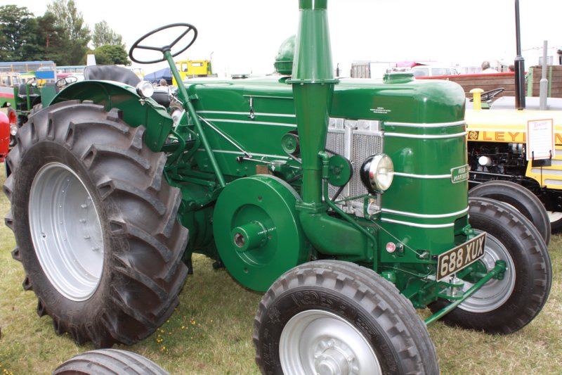 fieldmarshall2.jpg