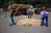 harvesttimemanualstyle_small.jpg